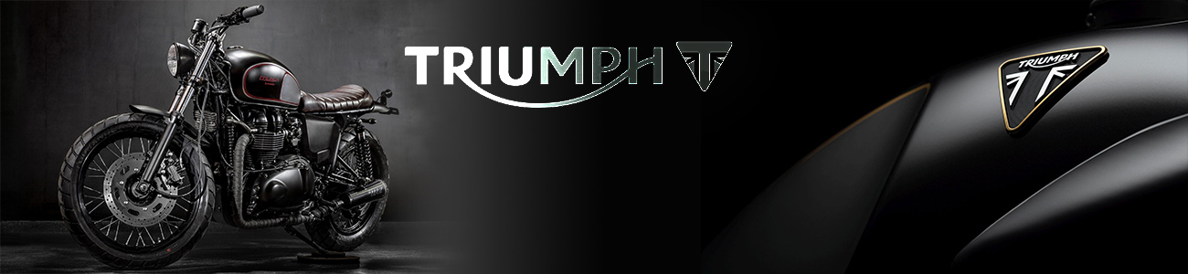 Ремонт и обслуживание мотоциклов TRIUMPH